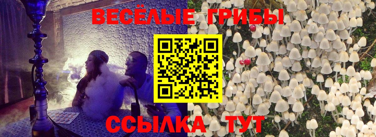 Галлюциногенные грибы мицелий  Вход с VPN  Новороссийск 