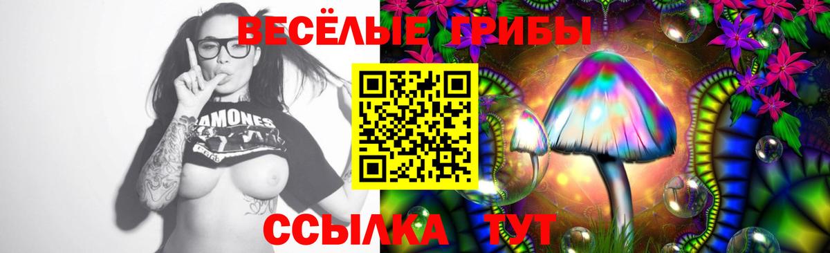Псилоцибиновые грибы MAGIC MUSHROOMS Новороссийск